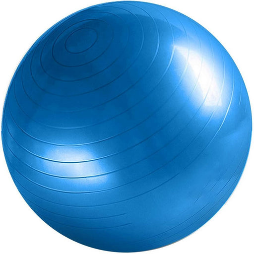 FITBALL 65CM VIMAS SPORT